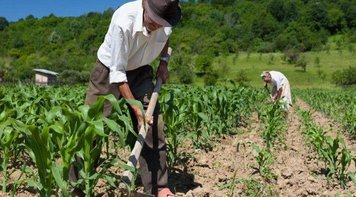 PEC da reforma da Previdência transforma trabalhadores rurais em miseráveis