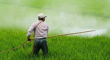 Caetano Veloso convoca artistas e organizações para ato contra ‘Pacote da Destruição’