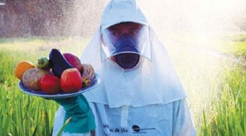 Nuggets e requeijão: veja as marcas que são campeãs de veneno nos ultraprocessados