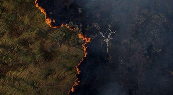 Avanço da devastação na Amazônia é falta de governança, aponta especialistas