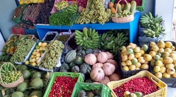 Segurança alimentar é obrigação prioritária do Estado