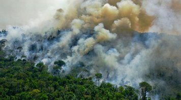 Queimadas na Amazônia batem novo recorde e ficam atrás apenas de agosto de 2019 