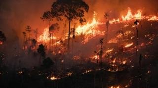 CUT repudia a aprovação do PL da Devastação: 'trata-se de um verdadeiro retrocesso'