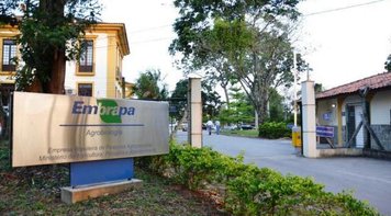 Entenda como a privatização da Embrapa pode fazer preços de alimentos subirem