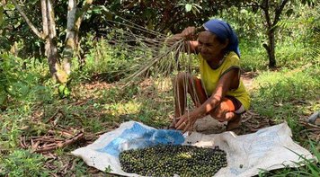 Mulheres são linha de frente no combate a ações predatórias em quilombo no Pará