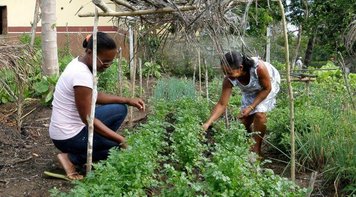 Encontro do Macrossetor Rural da CUT debate o futuro da agricultura no país