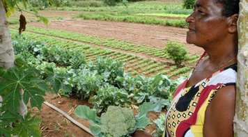 PEC de Bolsonaro corta valor de benefício de quem recebe pensão e aposentadoria