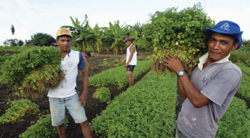Enquanto a fome cresce no Brasil, Bolsonaro reduz recursos para agricultura familiar