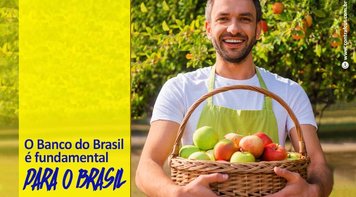 Responsável por 70% da carteira de crédito agrícola, veja por que o Banco do Brasil é fundamental para o país