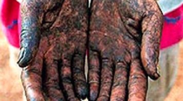 Em 2019, caiu o número de resgatados do trabalho escravo. Desde 1995, foram 55 mil 