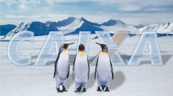 Pra pinguim ver: Pedro Guimarães inaugura espaço digital da Caixa na Antártica e empregados criticam