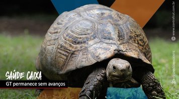 GT Saúde Caixa permanece com impasse