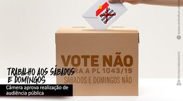 Câmara aprova realização de audiência pública para debater PL 1043/2019