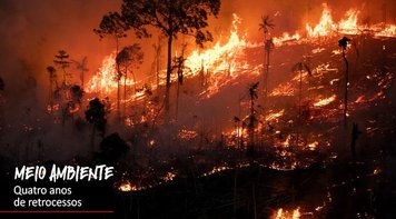 Governo nega desmatamentos enquanto Brasil registra recordes de perda florestal